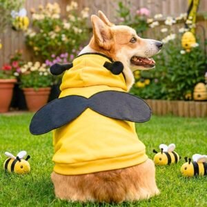 Fantasia Pet Abelha com Asa