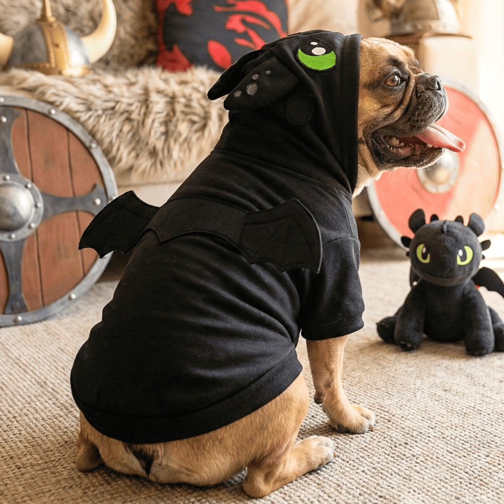 roupa para pet banguela